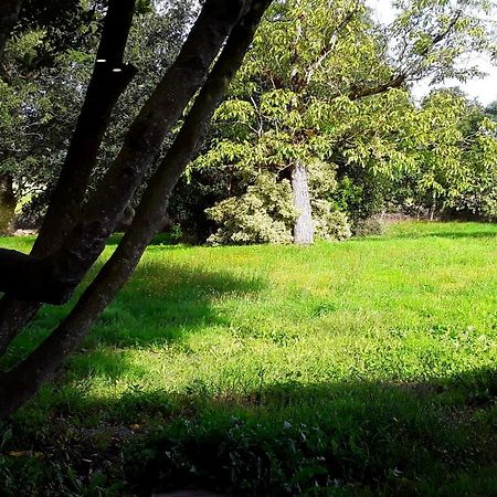 Вилла Domaine De La Tranquillite V Noyal-Muzillac Экстерьер фото