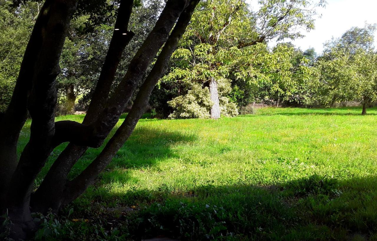 Вилла Domaine De La Tranquillite V Noyal-Muzillac Экстерьер фото